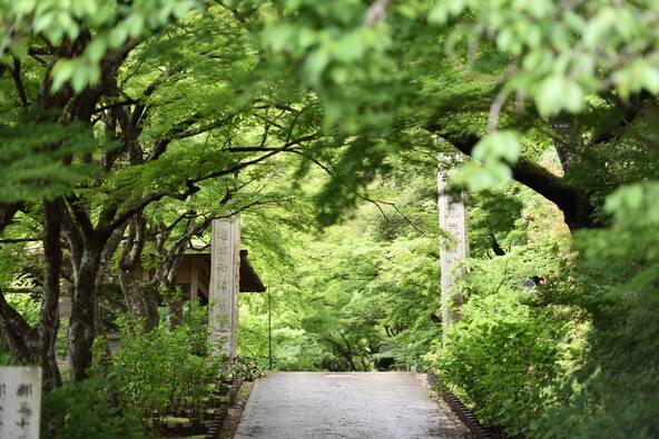 「永谷山　円通寺」