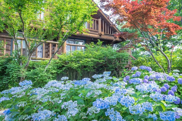 初夏限定の幻想的なガーデン風景