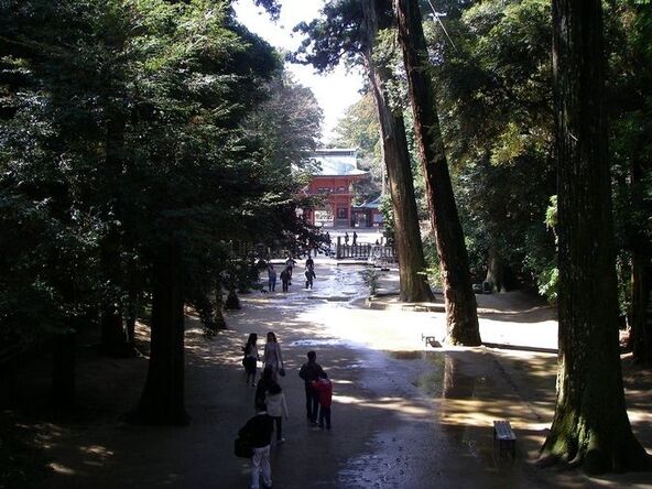 木漏れ日が差し込む「鹿島神宮」（画像提供：一般社団法人 茨城県観光物産協会）