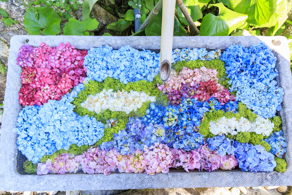 四季折々の「花手水（はなちょうず）」も人気（画像提供：オフィスK / PIXTA）※画像は過去の演出です