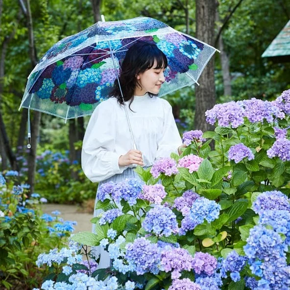 미시마 스카이워크 수국 우산 무료 대여