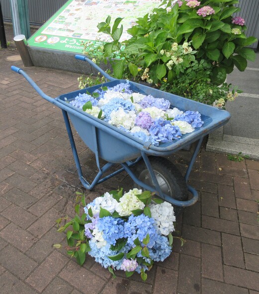 園内には紫陽花を使ったフォトスポットも登場！