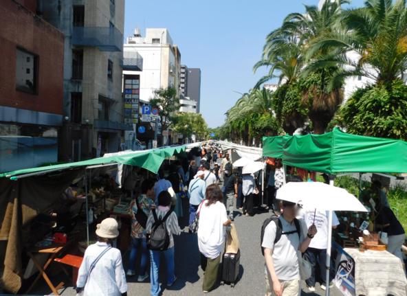 緑色のテントが「土佐の日曜市」の目印