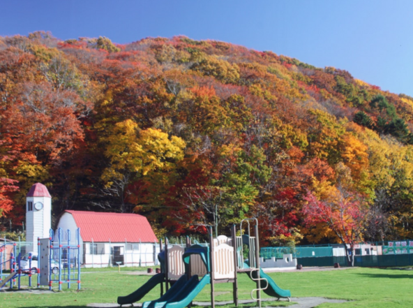 紅葉が美しく広がる秋の風景（写真：御大師山）