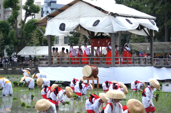 「御田植神事」の様子