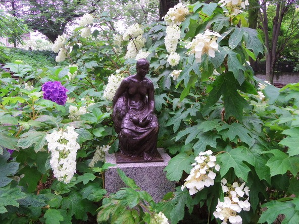 コーヒーでひと休みしながら紫陽花を満喫（画像提供：一般社団法人こだいら観光まちづくり協会）