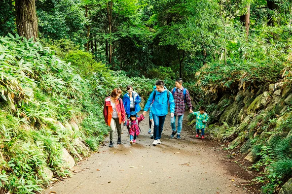 木々に囲まれた登山道。森林浴を楽しみながら山頂を目指せます