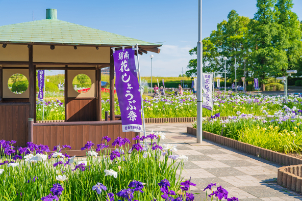 見頃の時期には、水辺を彩る華やかな景色が広がります（画像提供：daysgoby_JPN / PIXTA）