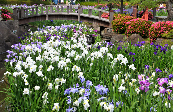 和の情緒が漂う美しい公園（画像提供：Yoshi-da / PIXTA）