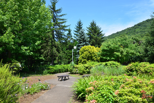山を活用した緑豊かな公園（画像提供：matsuno / PIXTA）
