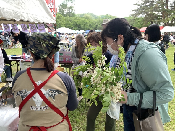 アカシアの香りや味を楽しめる、小坂町ならではの体験です