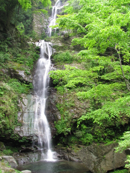 鳴滝（なるたき）