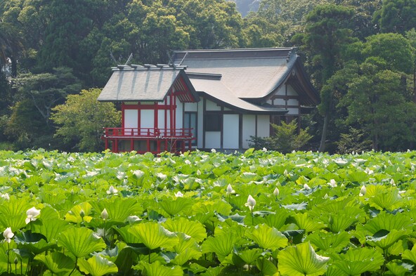 さわやかな風景が広がる「湖水ヶ池」（画像提供：宮崎県観光協会）