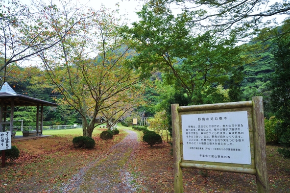 双眼鏡を片手に親子でバードウォッチングも（画像提供：（公社）千葉県観光物産協会）