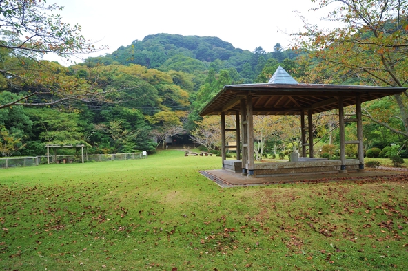 野鳥や植物について学べる館山野鳥の森（画像提供：（公社）千葉県観光物産協会）