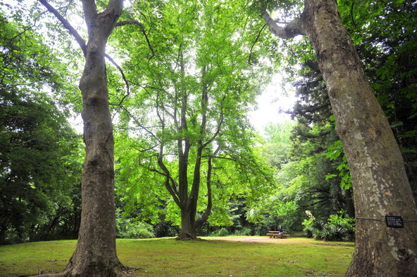 四季折々の自然に出会える泉自然公園（画像提供：（公社）千葉県観光物産協会）
