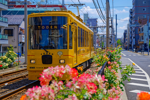路面電車でのんびり夏詣（画像提供：ジャバ / PIXTA）※画像はイメージです