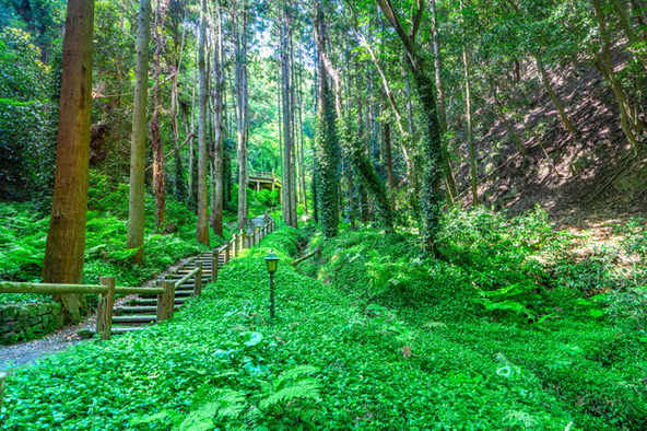 伏姫籠穴へ続く山門（画像提供：ひでげる / PIXTA）
