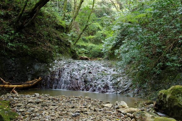 清らかな水が流れる沢山不動滝（画像提供：barman / PIXTA）
