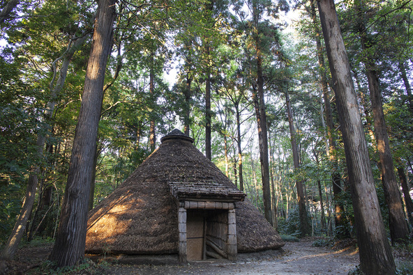 縄文時代の暮らしを伝える復元竪穴住居（画像提供：jaimax / PIXTA）