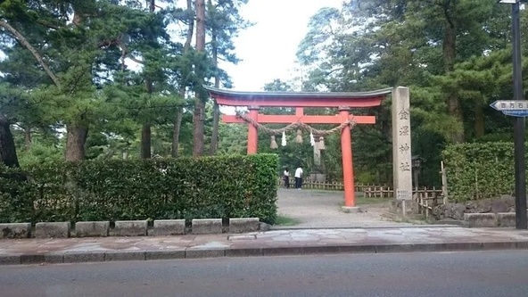 金澤神社の放生池では夏に睡蓮を楽しめます