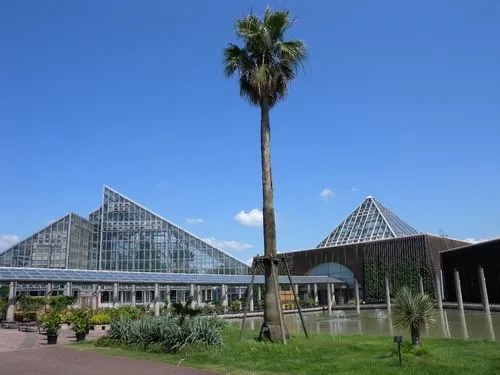 約6,600種類の植物に出会える総合植物園