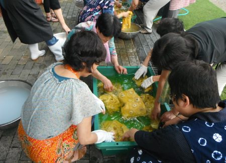 「はす染め体験」の様子