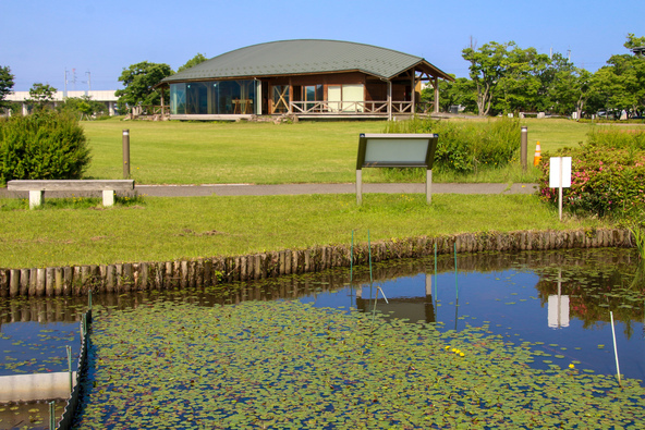 県内では希少な自然水郷公園（画像提供：Hick / PIXTA）