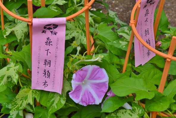 購入した金額の一部が江東区社会福祉協議会へ寄付されます　（画像提供：nijimi / PIXTA）