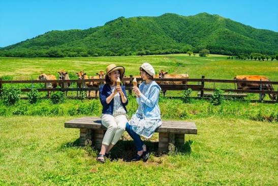 ひるぜんジャージーランドの景観（写真提供：岡山県観光連盟）