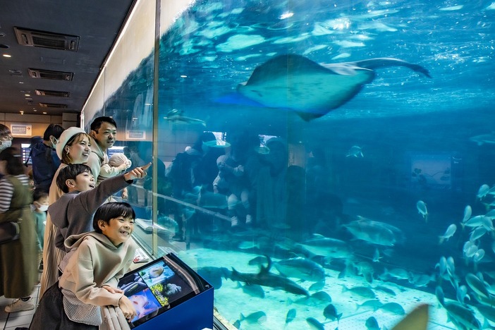 須磨海浜水族園 須磨水族館 写真付き 神戸市立須磨海浜水族園 - Japan View