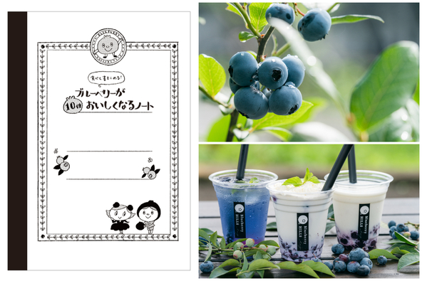 食べて・書いて・楽しめる新感覚のブルーベリー農園