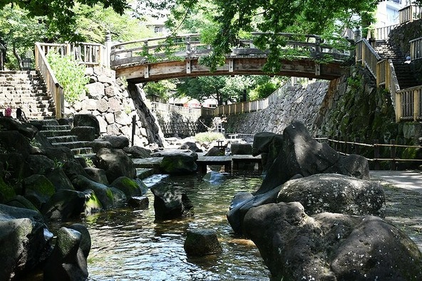 木陰で涼しい水路は絶好のお散歩コース