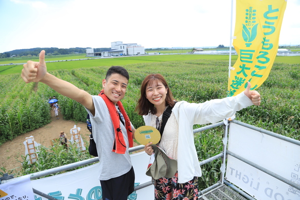 展望台からは巨大迷路の全景を見渡せます