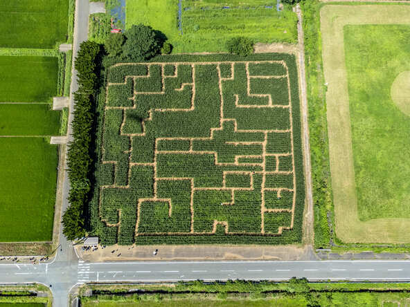 巨大迷路の上空図。例年、1万人以上が訪れ、多くの家族連れでにぎわいます