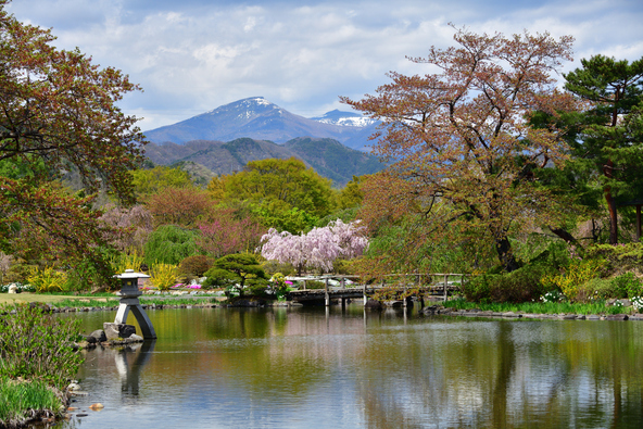 広大な敷地に広がる池泉回遊式庭園（画像提供：photo_uny_llc / PIXTA）