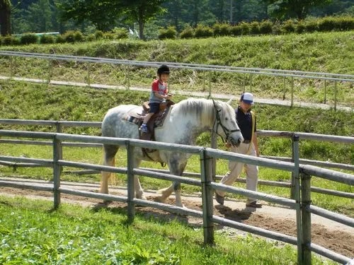 自然の中で楽しめる乗馬体験