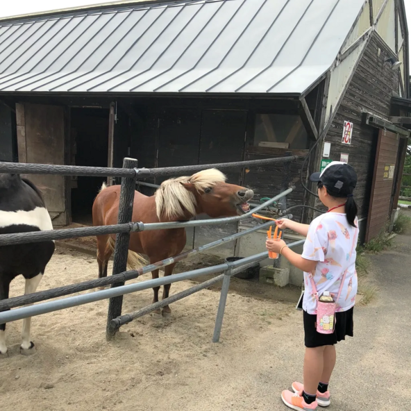 馬とのふれあいを楽しむ様子（ユーザー投稿）