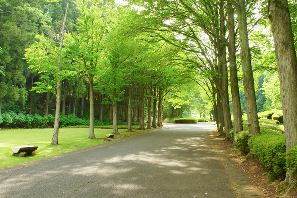 自然散策を楽しめる緑豊かな園内（画像提供：enokizu / PIXTA）