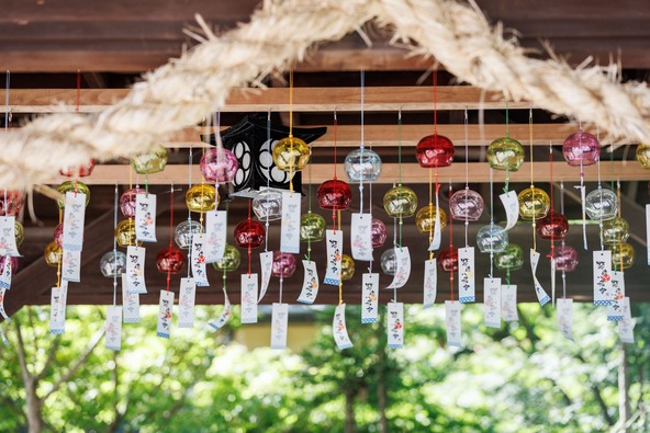 色鮮やかな風鈴が並び、境内を華やかに彩ります