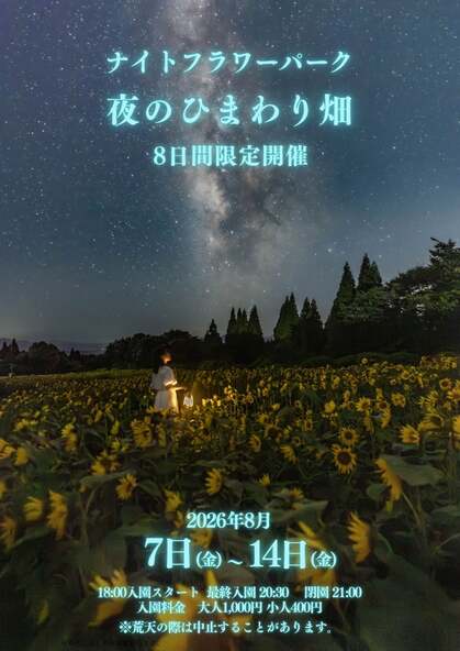みはらしの丘エリア：ひまわり畑