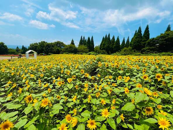 みはらしの丘には写真映えする「フォトスポット」も登場します。（2024年撮影）