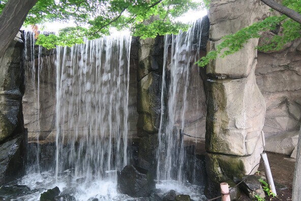 岩屋の滝（画像提供：james / PIXTA）