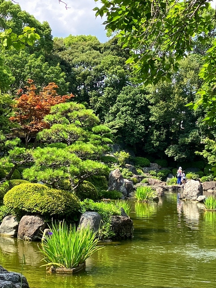 「池泉廻遊式」の美しい日本庭園（画像提供：花畑公園・桜花亭管理事務所）
