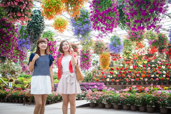 一年中色鮮やかな花々が咲く「松江フォーゲルパーク」