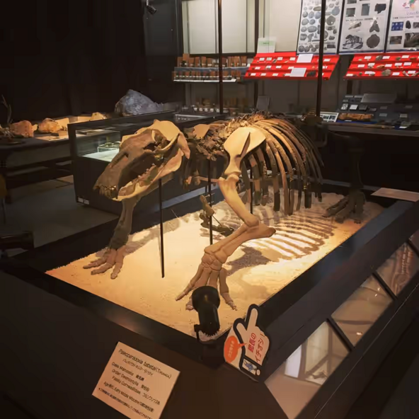 謎の古代生物「パレオパラドキシア」
