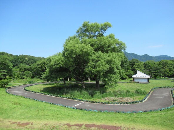「養鱒公園 憩いの広場」のゴーカート場（画像提供：下郷町）