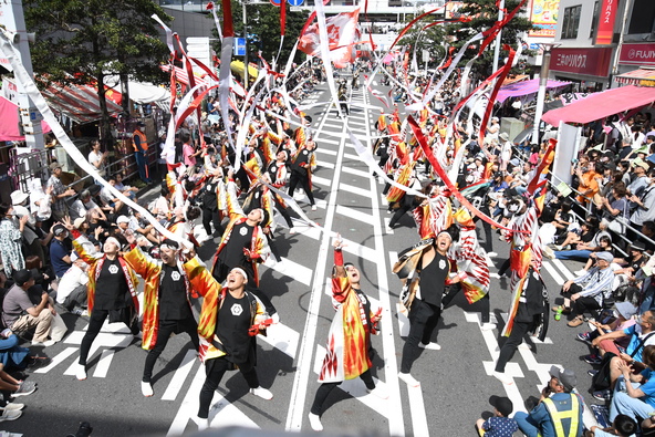 迫力満点のよさこい演舞も人気です