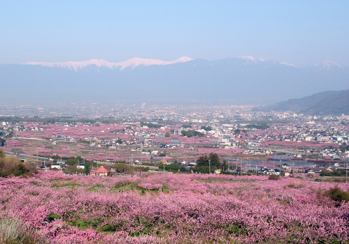 山梨県笛吹市】桃源郷ROUTE34 ライド&ウォーク | 電動レンタサイクルに