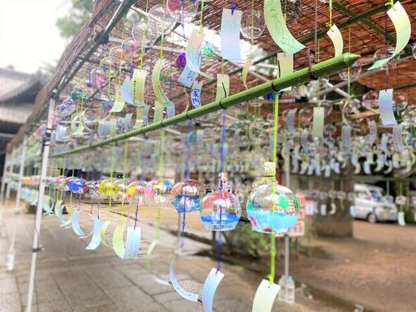 約1,000個の風鈴が音色を奏でます